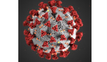 Coronavirus