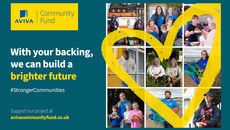banner for Aviva story